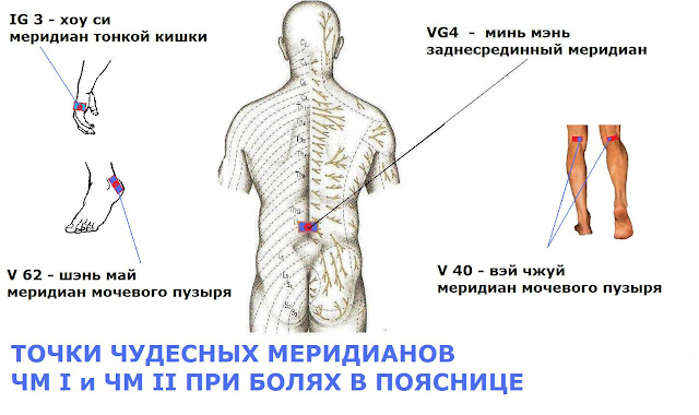 При повышение температуры боль в пояснице и животе При повышение температуры боль в пояснице и животе