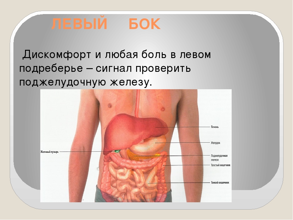 Болит под левым ребром что это и как лечить Болит под левым ребром что это и как лечить