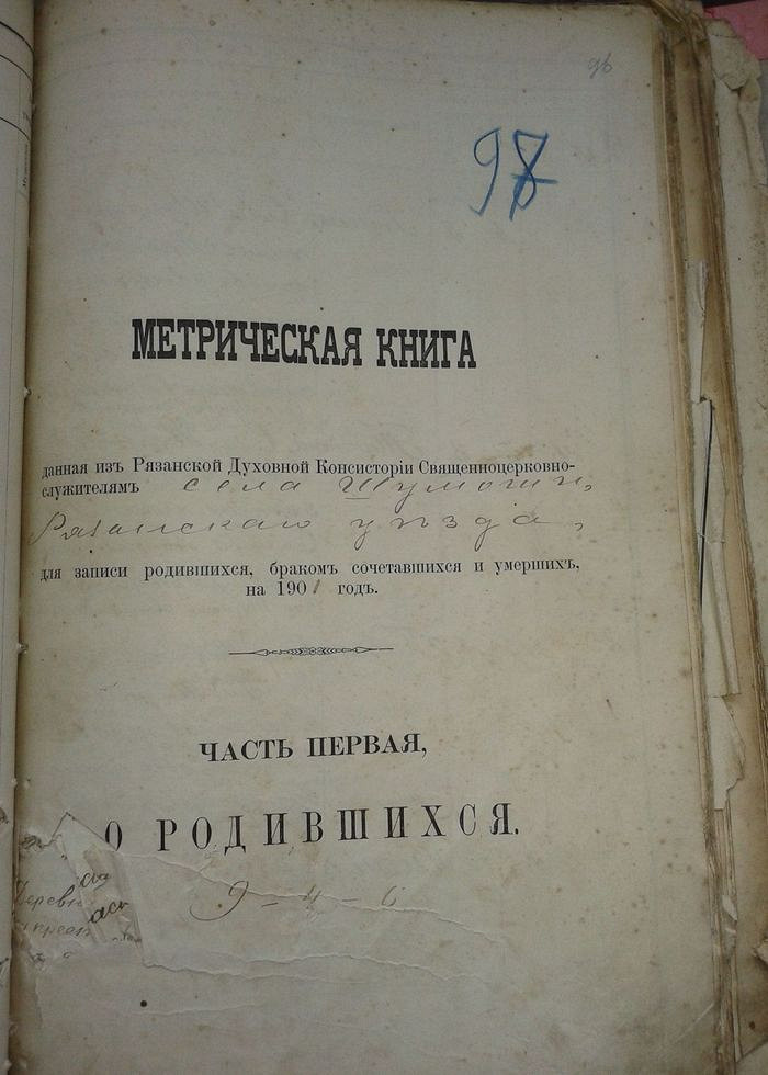 Метрические Книги Рязанской Области