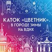 Логотип - Каток «Цветник»