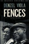 Ограды / Fences