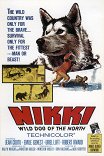 Никки, дикая собака Севера / Nikki, Wild Dog of the North