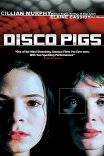 Дискосвиньи / Disco Pigs