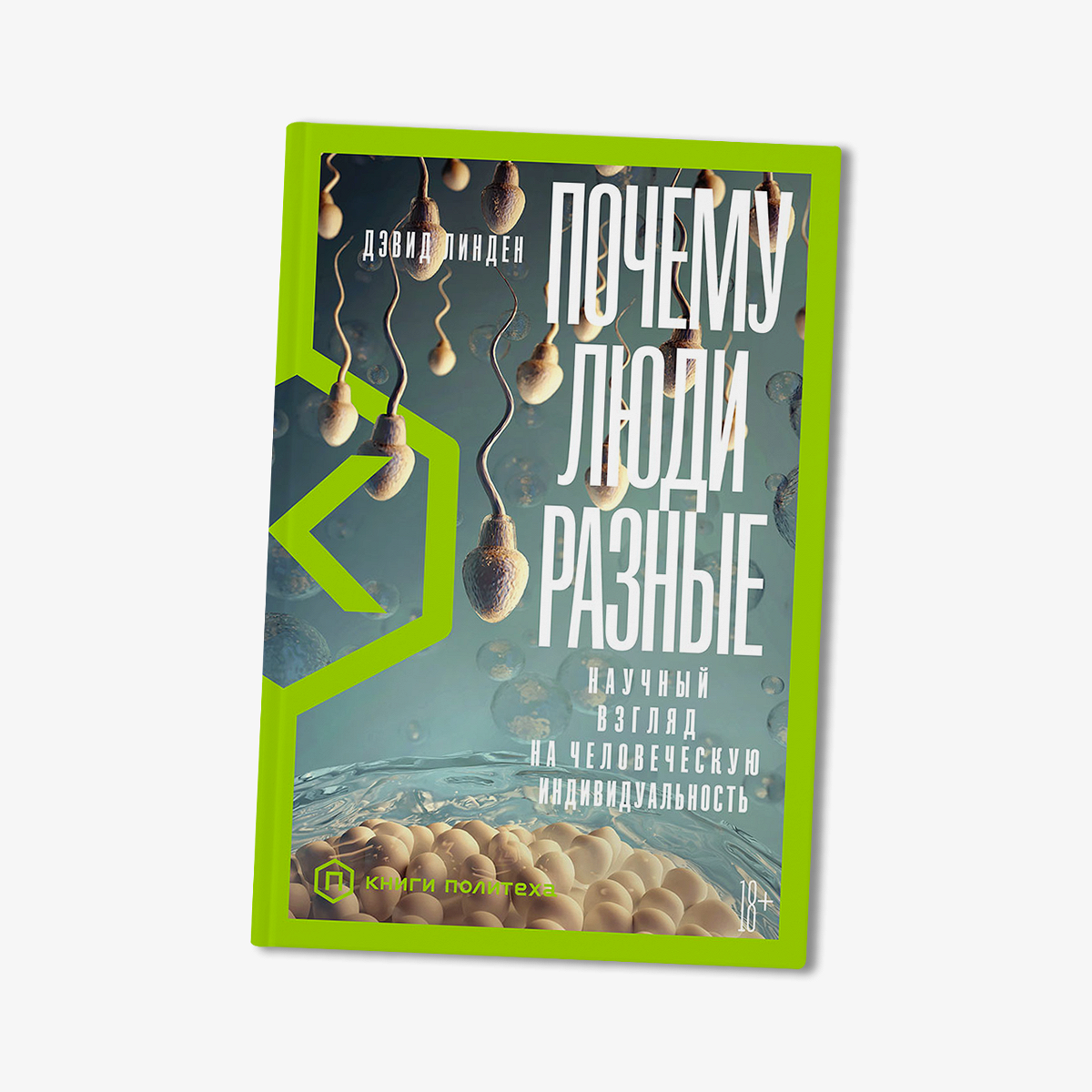 Мы просто сочли ее странной»: история интерсексуальной чемпионки Европы -  Афиша Daily