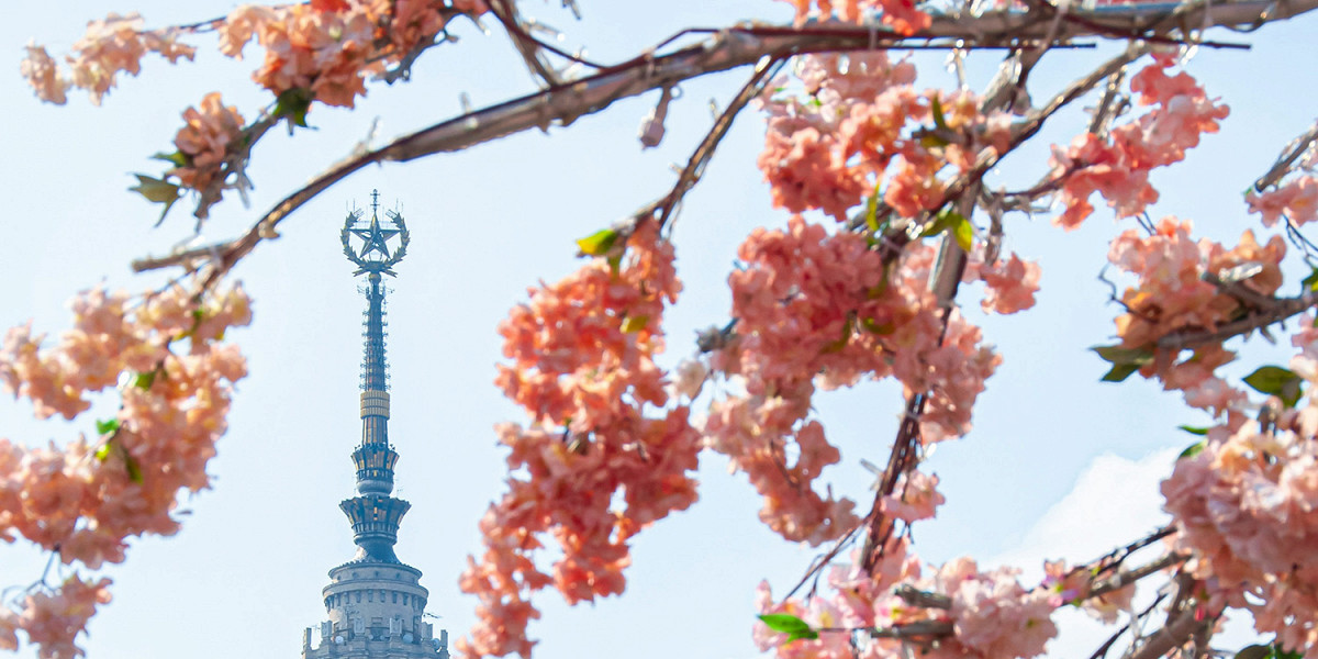 От ботсадов до храмов: 6 мест, где можно посмотреть на сакуру и встретить настоящую весну