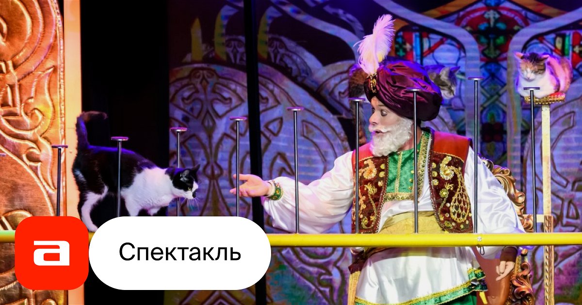 Волшебные кошки - купить билет на спектакль, расписание, отзывы ...