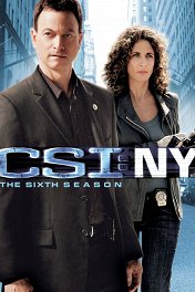 csi ny 4