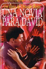 Невеста для Давида / Una novia para David