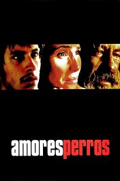 Сука-любовь / Amores perros