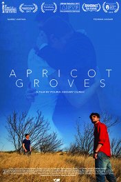 Абрикосовые рощи / Apricot Groves