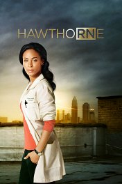Сестра Готорн / Hawthorne