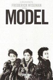Модель / Model