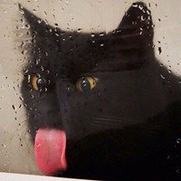 Фото Вера Чеботкова