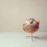 Фото Мэри Хью