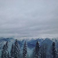 спектакль поймай меня если сможешь актеры. Смотреть фото спектакль поймай меня если сможешь актеры. Смотреть картинку спектакль поймай меня если сможешь актеры. Картинка про спектакль поймай меня если сможешь актеры. Фото спектакль поймай меня если сможешь актеры