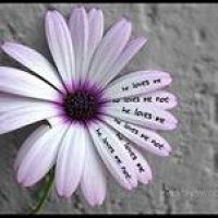 Фото пользователя