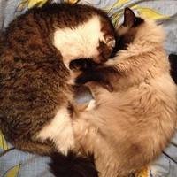 Фото Ирина Бушуева