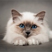 Фото Серафима Нержина