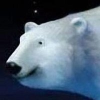 Фото Белая Медведица