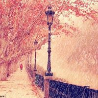 Фото Юлия Сергеева