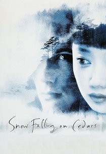 Заснеженные кедры