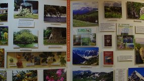 Рекреационные ресурсы курорта