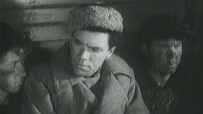Путевка в жизнь