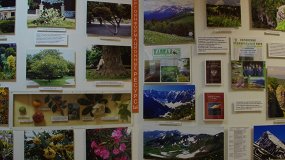 Рекреационные ресурсы курорта