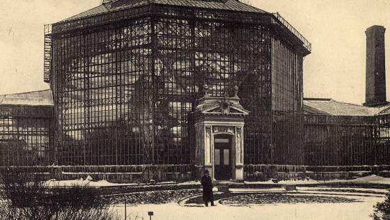 Назначаю Вам встречу в саду.