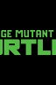Teenage Mutant Ninja Turtles: The Next Chapter / Teenage Mutant Ninja Turtles: The Next Chapter