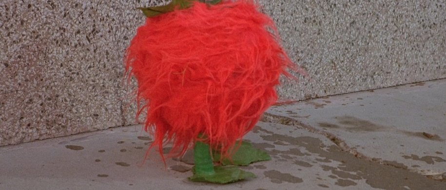 худших хорроров в истории кино. Да, мы их посмотрели!