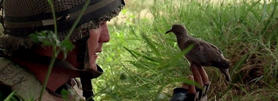 Кино: «Горькое озеро» Кино: «Горькое озеро»