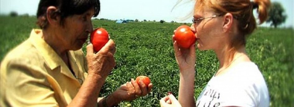 Фильм «Среда обитания. Что хуже горькой редьки?» Кино: «Среда обитания. Что хуже горькой редьки?»