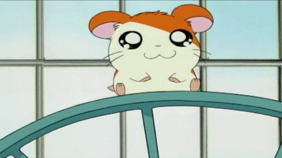 Serial Hamtaro 1 Sezon Seriala 296 Epizodov Yaponiya Nazvaniya Epizodov Daty Vyhoda Serij Smotret Trejlery Aktery Kadry So Semok Seriala Afisha Serialy