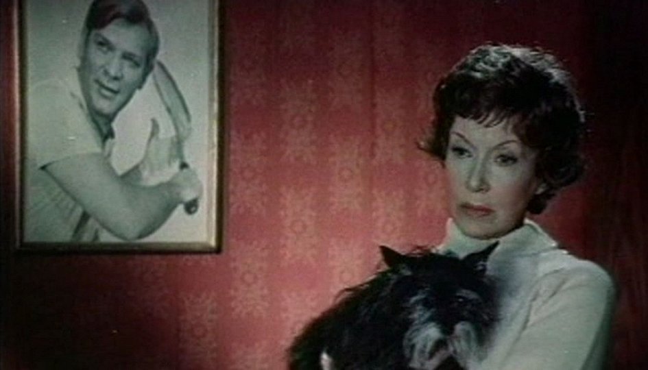 Кино: «Скворец и Лира» Кино: «Скворец и Лира»