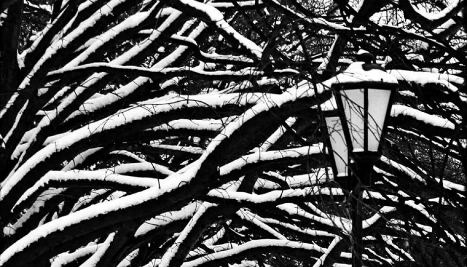 Выставки: Снег I Nix I Snow Выставки: Снег I Nix I Snow