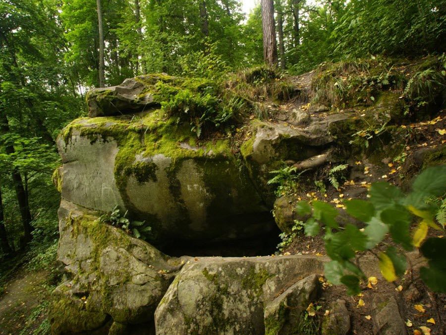 ferris-settlement-nature.jpg