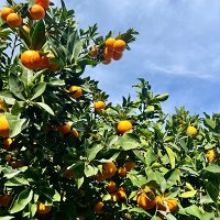 Фото пользователя