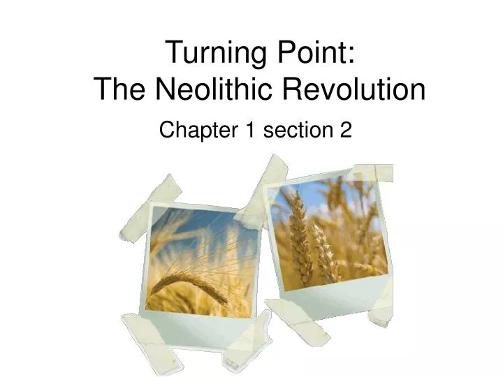 Essay On Paper Neolithic Revolution Essay Do My Essay What Is A Thesis Of An Essay also Synthesis Essay Prompt Neolithic Revolution Essays Modern Science Essay
